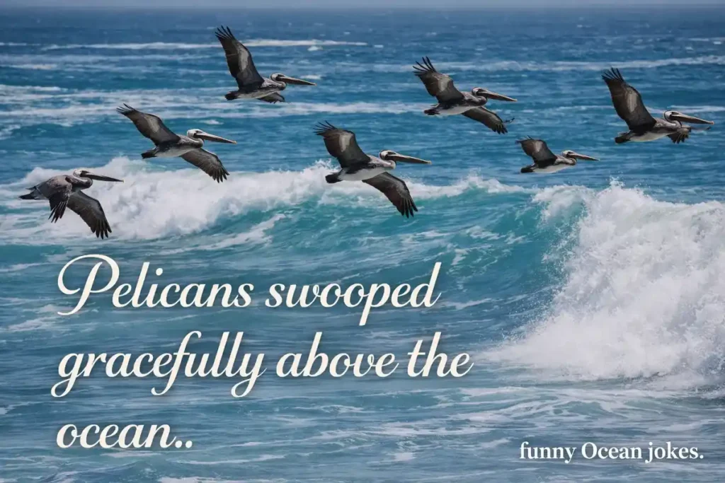 Shell Yeah Clever Puns From the Shore