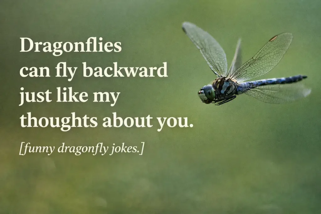 Dragonflies can fly backward just like my thoughts about you.