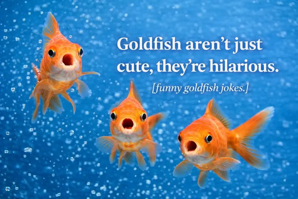 Funniest Goldfish Puns For Social Media