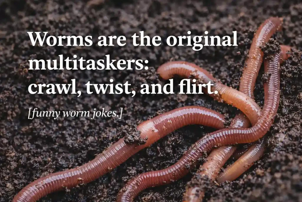 Silly Worm Humor Perfect for Adults