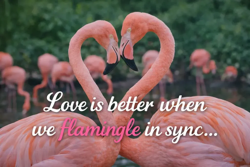Cute Flamingo Puns For Adults